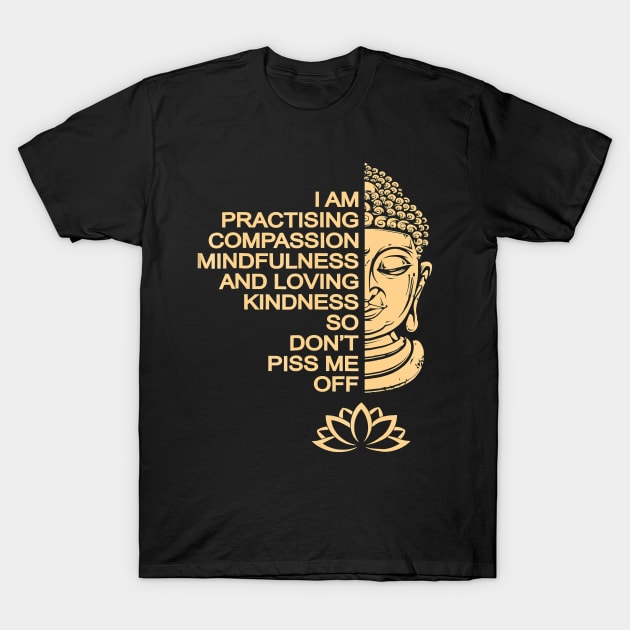 Meditation Buddha T-Shirt by JaydeMargulies